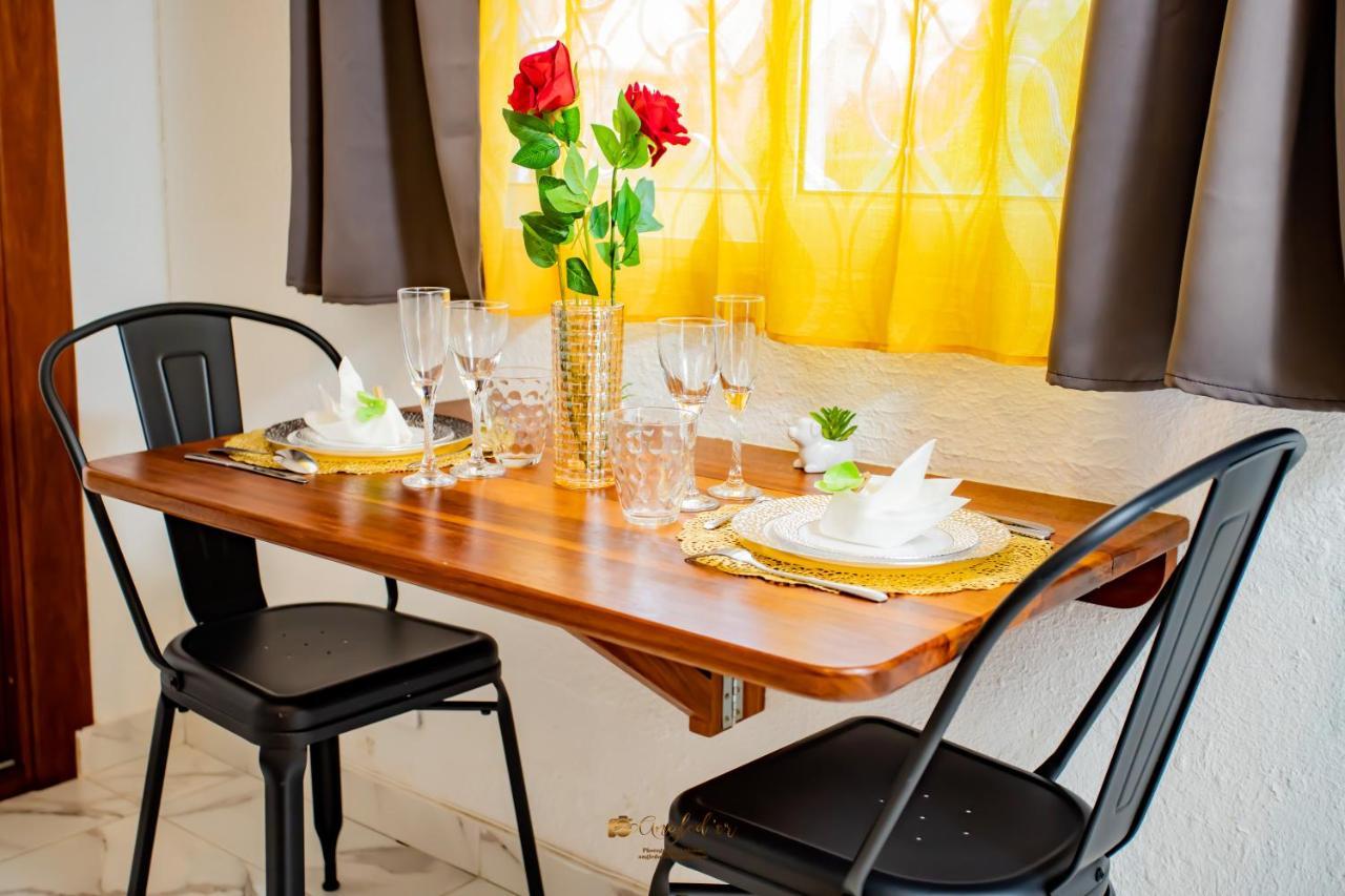 Le Jardin Secret Guyanais Avec Piscine Et Jardin De 70 M2 Apartment Cayenne Luaran gambar
